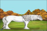 Horse Color:Silver Buckskin Sabino 