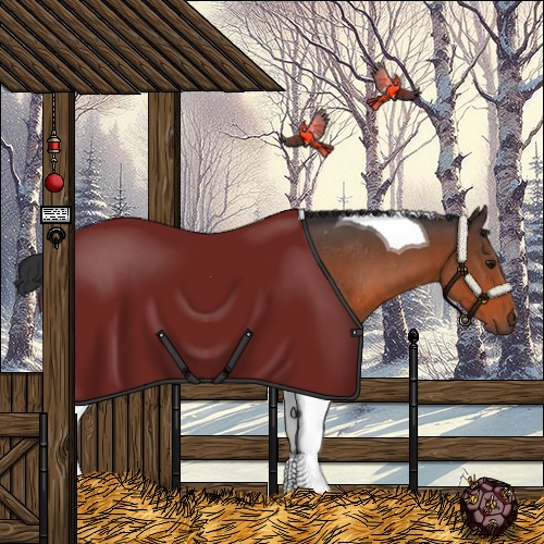 Horse Color:Brown Tobiano Rabicano 