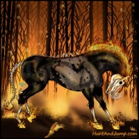 Horse Color:Void White Spotted Bay Dun Splash Appaloosa 