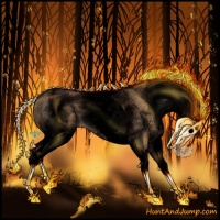 Horse Color:Void White Spotted Bay Dun Splash 