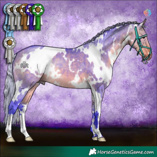 Horse Color:Watercolor White Spotted Silver Buckskin Dun 