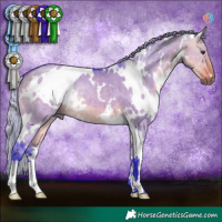 Horse Color:Watercolor White Spotted Silver Buckskin Dun 