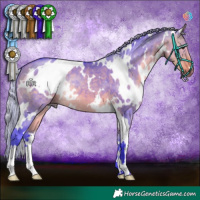 Horse Color:Watercolor White Spotted Silver Buckskin Dun