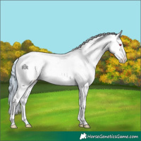 Horse Color:Watercolor Brown Chinchilla Near Leopard 