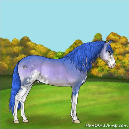 Horse Color:Watercolor Buckskin Onyx Sabino Brindle 