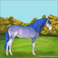 Horse Color:Watercolor Buckskin Onyx Sabino Brindle 
