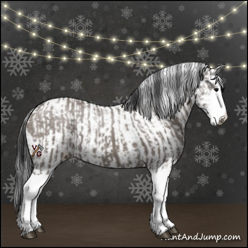 Horse Color:Grullo Sabino Splash and Grullo Sabino Splash