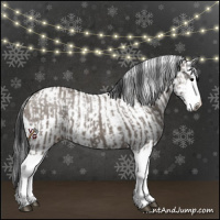 Horse Color:Grullo Sabino Splash  and Grullo Sabino Splash 