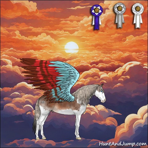 Horse Color:Liver Chestnut Splash 