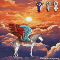 Horse Color:Liver Chestnut Splash