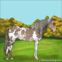 Horse Color:White Spotted Liver Red Dun Mushroom Varnish 
