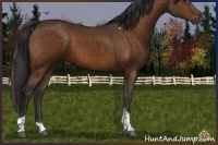Horse Color:Buckskin Sabino Tobiano