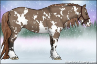 Horse Color:White Spotted Liver Red Dun Sabino 
