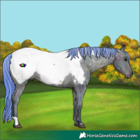 Horse Color:Watercolor Midnight Brown Ice Near Fewspot Rabicano 