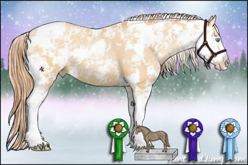 Horse Color:Buckskin Pearl Sabino 