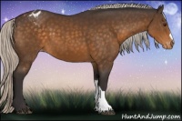 Horse Color:Silver Buckskin Appaloosa 