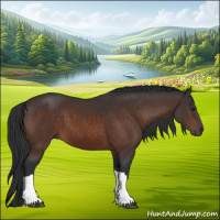 Horse Color:Brown 
