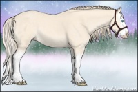 Horse Color:Perlino Splash