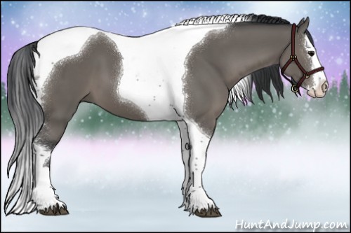 Horse Color:Grullo Splash Tobiano 