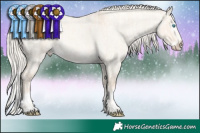 Horse Color:Cremello Roan Dun  and Cremello Roan Dun Splash 