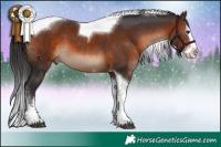 Horse Color:Brown Splash Tobiano
