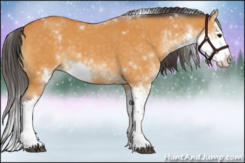 Horse Color:Buckskin Sabino Splash 
