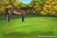 Horse Color:Brown 