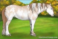 Horse Color:White Spotted Bay Pearl Splash 