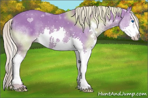 Horse Color:Watercolor Chocolate Palomino Sabino Splash 