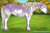 Horse Color:Watercolor Chocolate Palomino Sabino Splash 