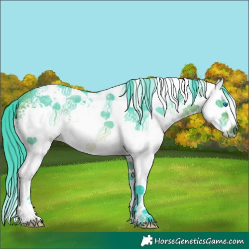 Horse Color:Watercolor White Spotted Buckskin Splash