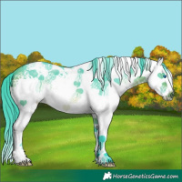 Horse Color:Watercolor White Spotted Buckskin Splash 