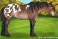 Horse Color:Brown Roan Blanket 