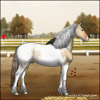 Horse Color:White Spotted Bay Dun Tobiano Appaloosa 