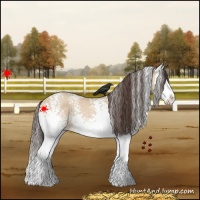 Horse Color:White Spotted Amber Champagne Dun Splash
