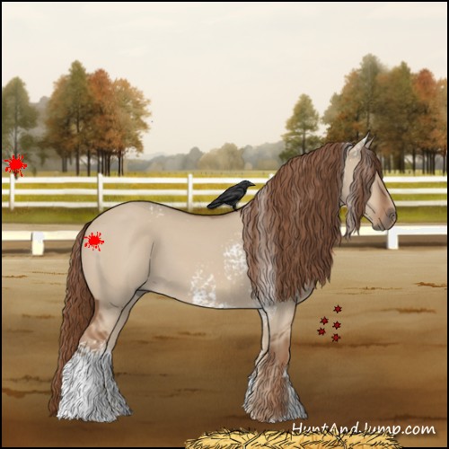 Horse Color:White Spotted Red Dun 