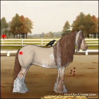 Horse Color:White Spotted Red Dun 