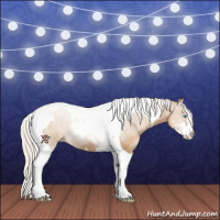 Horse Color:Silver Buckskin Pearl Sabino Tobiano 