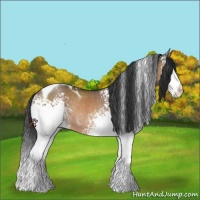Horse Color:White Spotted Brown Dun Tobiano Rabicano