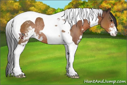 Horse Color:Bay Sabino Tobiano Rabicano 