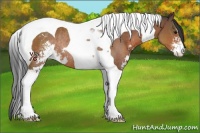 Horse Color:Bay Sabino Tobiano Rabicano