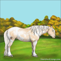 Horse Color:White Spotted Silver Buckskin Pearl