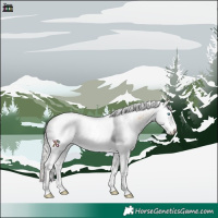 Horse Color:White Spotted Silver Perlino 