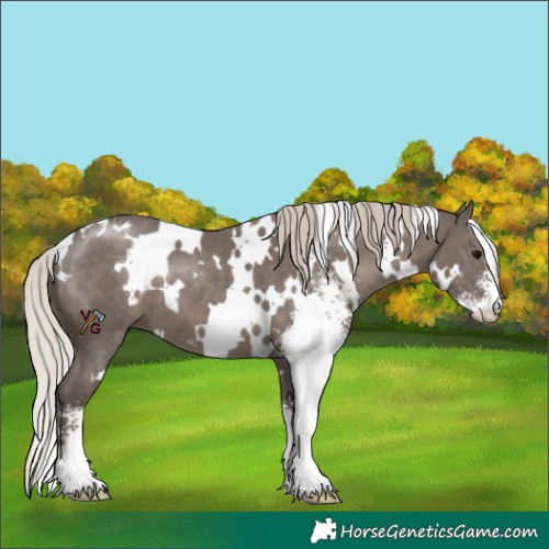 Horse Color:White Spotted Silver Black Sabino 