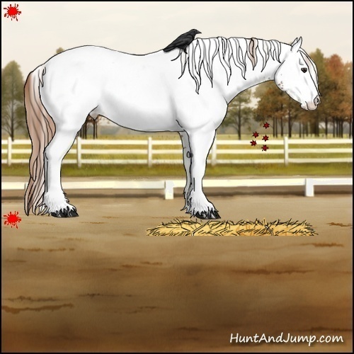Horse Color:White Spotted Chestnut Near Fewspot 