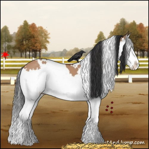 Horse Color:White Spotted Bay Dun Splash 