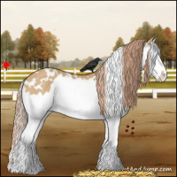 Horse Color:White Spotted Red Dun Splash 