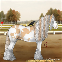 Horse Color:White Spotted Red Dun Splash 