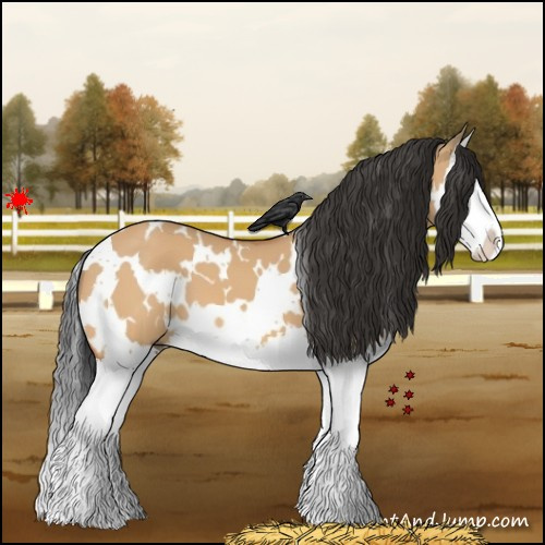 Horse Color:White Spotted Bay Dun Splash 