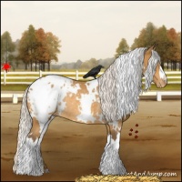 Horse Color:White Spotted Silver Buckskin Blanket Rabicano 